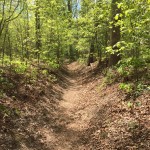 Cold Harbor Trenches
