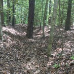 Civil War Trenches