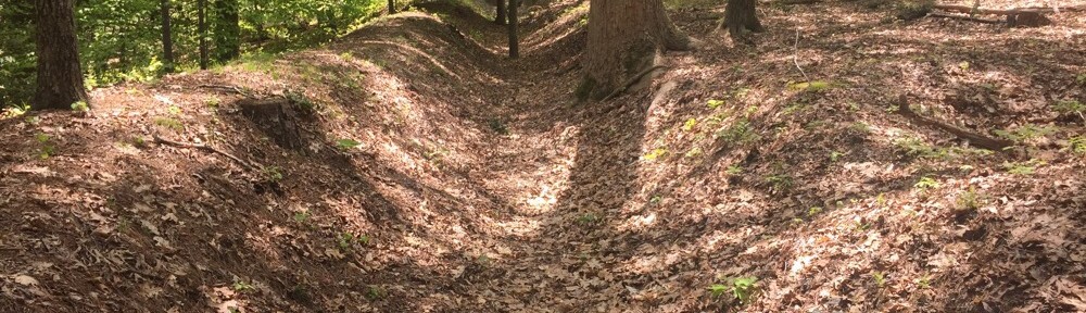 Confederate Trenches