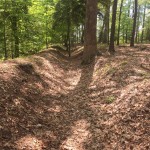 Confederate Trenches