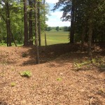 Cold Harbor Overlook