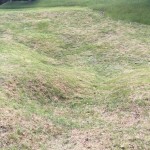 Crater Remains, July 30 1864