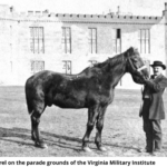 Little Sorrel, Virginia Military Institute