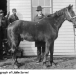 Little Sorrel, Old Soldiers Confederate Home